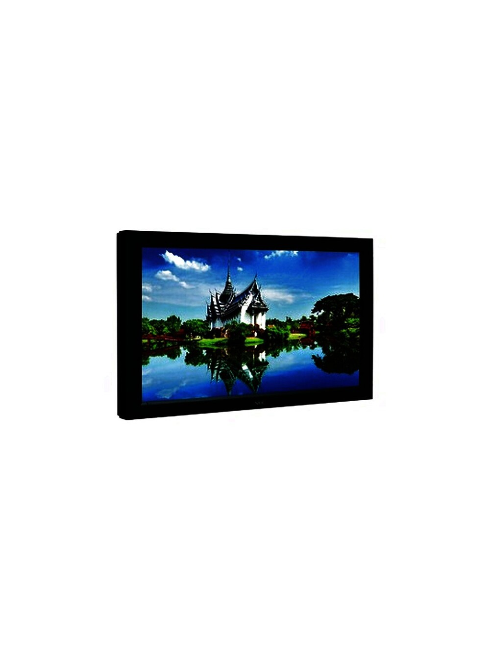 NEC V321-2 32-Inch LCD Widescreen Display